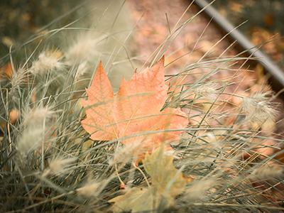 Otoño