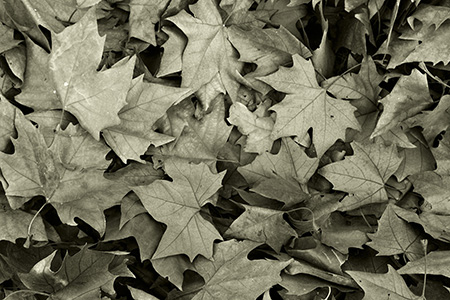 Otoño