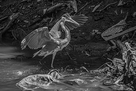 Contaminaci&oacute;n Ambiental