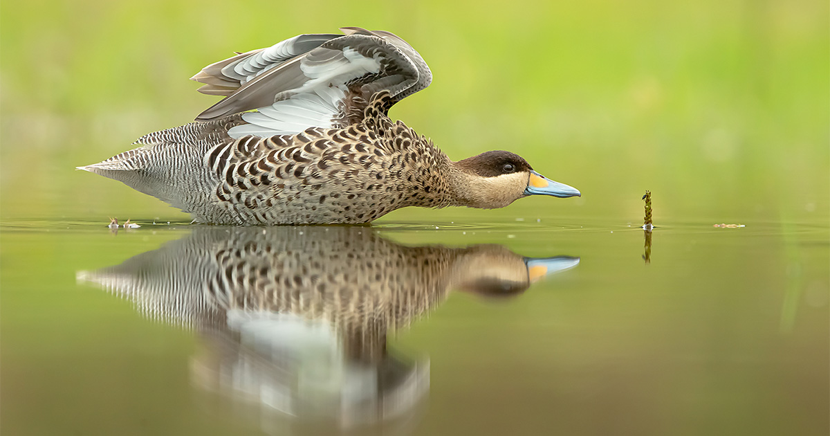 VI Concurso de Fotografía - Salon de Socios