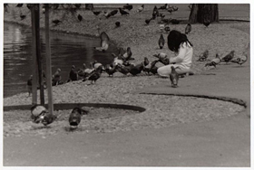 Curso B&aacute;sico de Fotograf&iacute;a<br>Septiembre-Octubre/2009